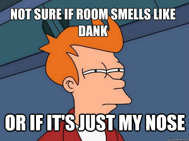 not sure if room smells like dank or if it's just my nose  Futurama Fry