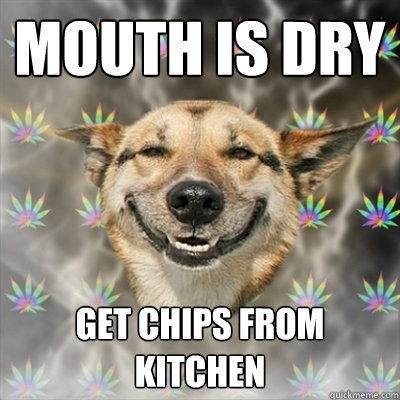 Mouth is dry get chips from kitchen  Stoner Dog