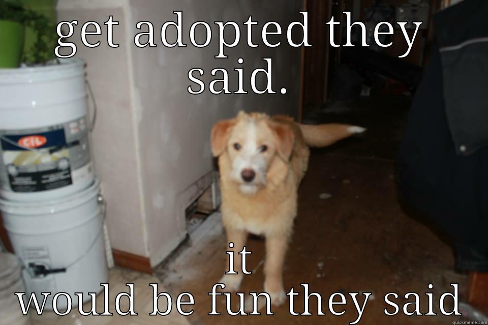 getting adopted - GET ADOPTED THEY SAID. IT WOULD BE FUN THEY SAID Misc