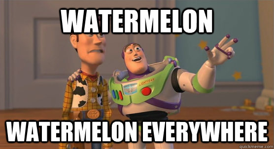 watermelon watermelon everywhere  Toy Story Everywhere