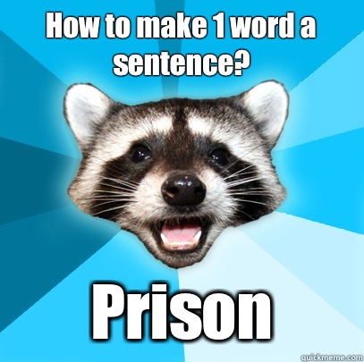 How to make 1 word a sentence? Prison - How to make 1 word a sentence? Prison  Lame Pun Coon