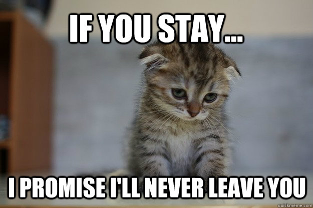 If you stay... I promise i'll never leave you  Sad Kitten