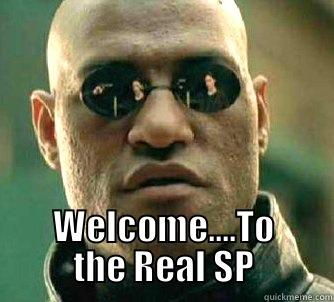  WELCOME....TO THE REAL SP Matrix Morpheus