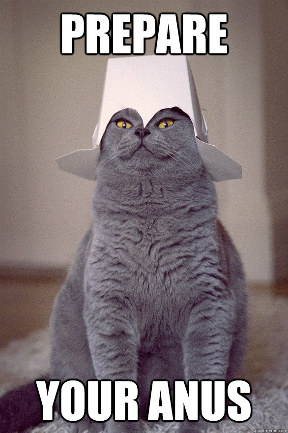 Prepare Your Anus  Cat With Hat