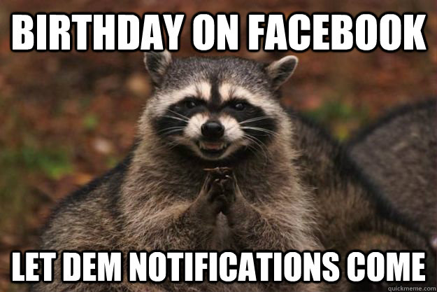 Birthday on facebook Let dem notifications come  Evil Plotting Raccoon