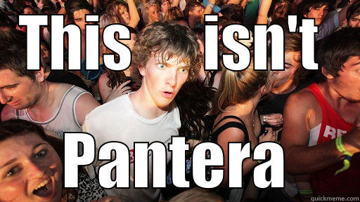 THIS      ISN'T  PANTERA Sudden Clarity Clarence