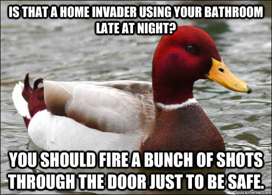 Is that a home invader using your bathroom late at night? You should fire a bunch of shots through the door just to be safe.  Malicious Advice Mallard