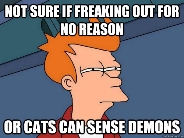 Not sure if freaking out for no reason or cats can sense demons  Futurama Fry