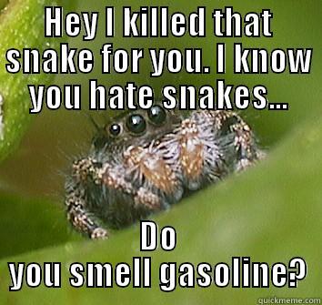 Misunderstood spider. - HEY I KILLED THAT SNAKE FOR YOU. I KNOW YOU HATE SNAKES... DO YOU SMELL GASOLINE? Misunderstood Spider