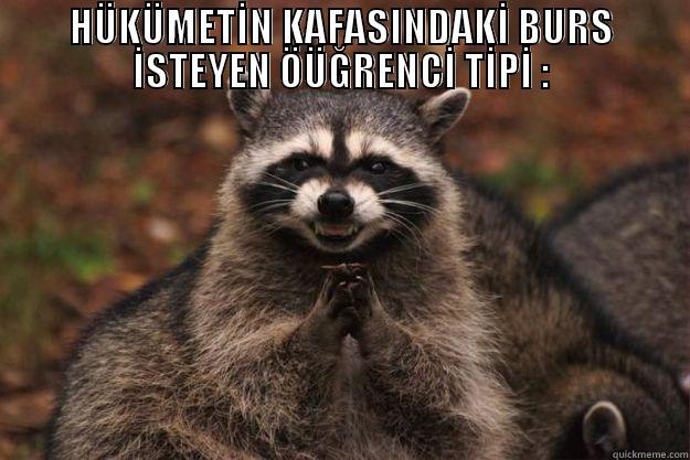 HÜKÜMETİN KAFASINDAKİ BURS İSTEYEN ÖÜĞRENCİ TİPİ :  Evil Plotting Raccoon