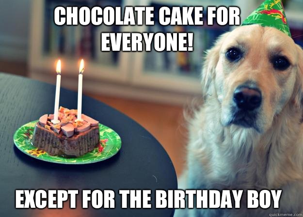 Chocolate cake for everyone! Except for the birthday boy  Sad Birthday Dog