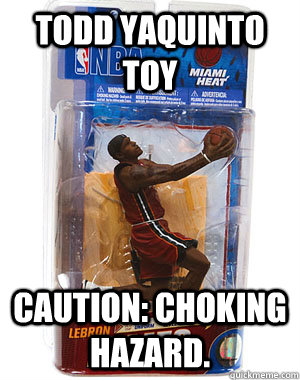 lebron james toy funny