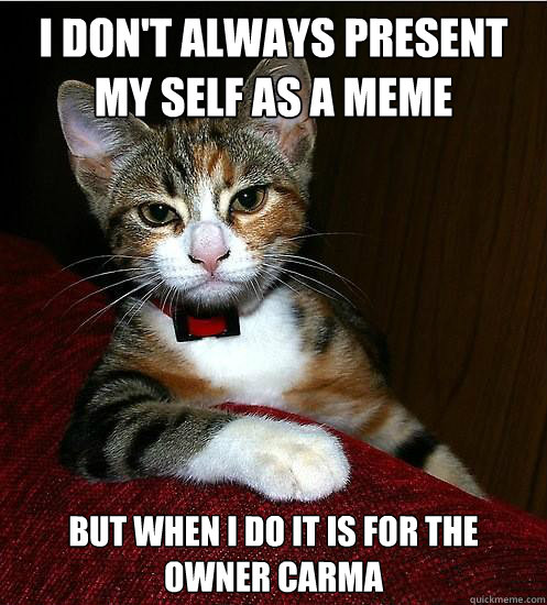 I don't always present my self as a meme But when I do it is for the owner carma  