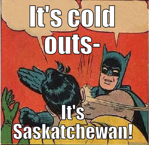 IT'S COLD OUTS- IT'S SASKATCHEWAN! Batman Slapping Robin