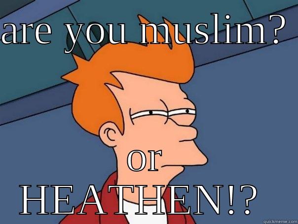 dis-ambiguity  - ARE YOU MUSLIM?  OR HEATHEN!?  Futurama Fry