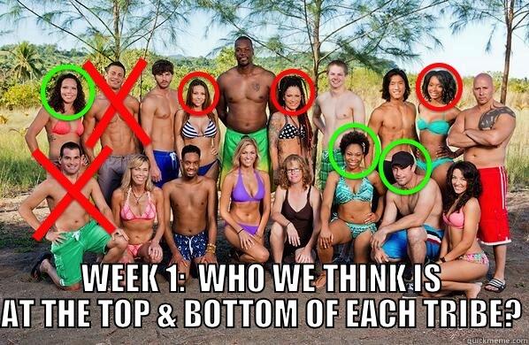  WEEK 1:  WHO WE THINK IS AT THE TOP & BOTTOM OF EACH TRIBE? Misc