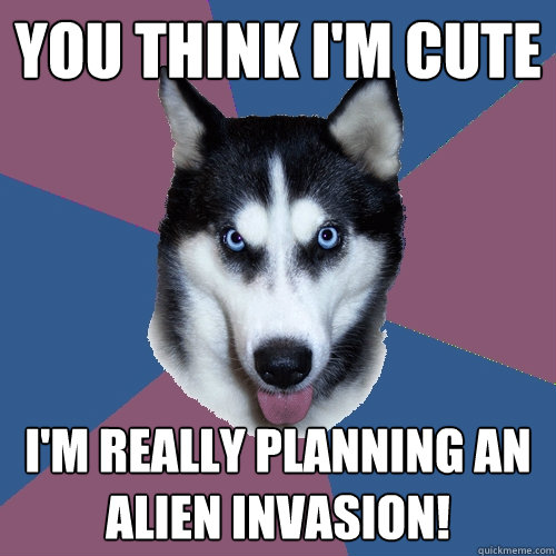 You think i'm cute i'm really planning an alien invasion!  Creeper Canine