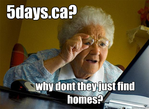 5days.ca? why dont they just find homes?  Grandma finds the Internet