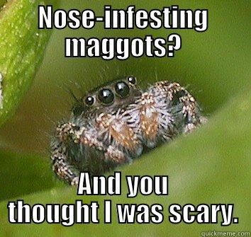 NOSE-INFESTING MAGGOTS? AND YOU THOUGHT I WAS SCARY. Misunderstood Spider