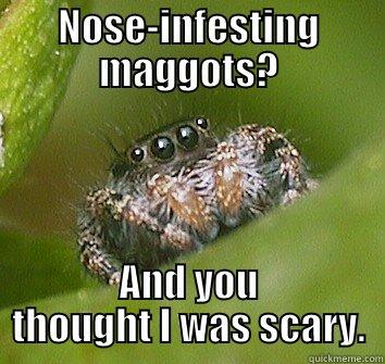 Smarties are funny enough - NOSE-INFESTING MAGGOTS? AND YOU THOUGHT I WAS SCARY. Misunderstood Spider