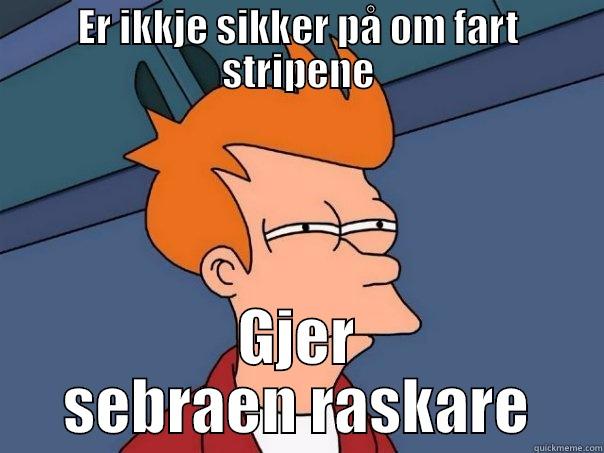 ER IKKJE SIKKER PÅ OM FART STRIPENE GJER SEBRAEN RASKARE Futurama Fry