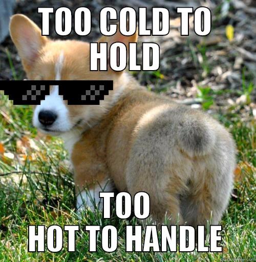 TOO COLD TO HOLD TOO HOT TO HANDLE Misc