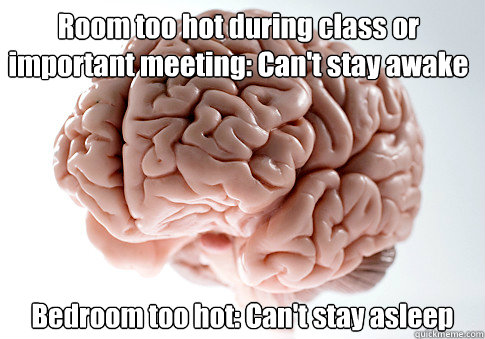 Room too hot during class or important meeting: Can't stay awake Bedroom too hot: Can't stay asleep   Scumbag Brain