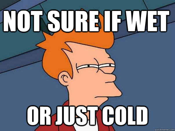 Not sure if wet or just cold - Not sure if wet or just cold  Futurama Fry