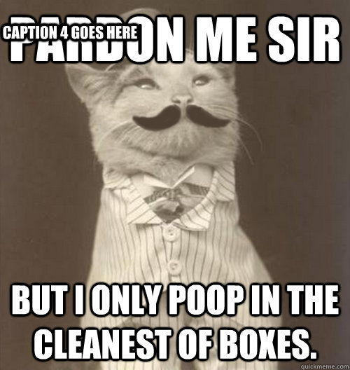 Pardon Me Sir But I only poop in the cleanest of boxes. Caption 3 goes here Caption 4 goes here  Original Business Cat