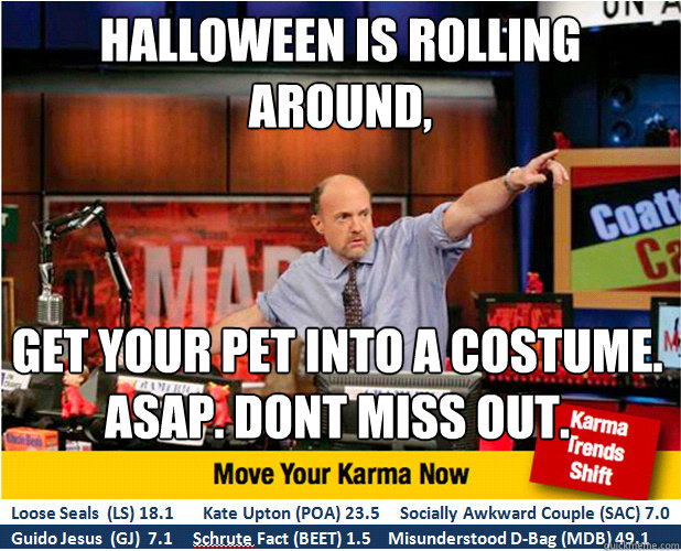 Halloween is rolling around, Get your pet into a costume. ASAP. DONT miss OUT.  Jim Kramer with updated ticker