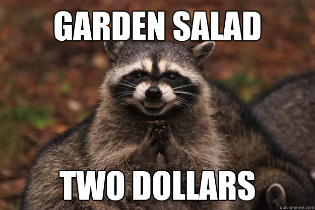 Garden Salad two dollars  Evil Plotting Raccoon