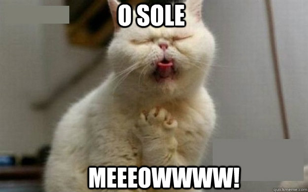 O Sole Meeeowwww!  