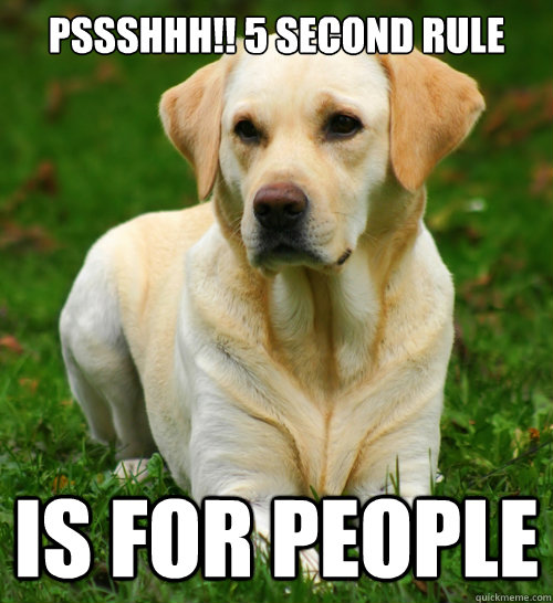 Pssshhh!! 5 second rule is for people  Dog Logic