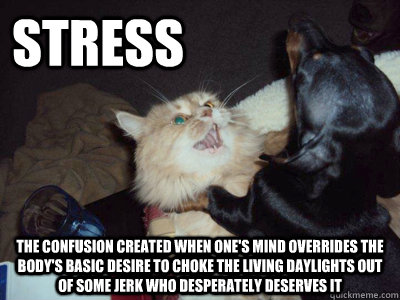 STRESS The confusion created when one's mind overrides the body's basic desire to choke the living daylights out of some jerk who desperately deserves it - STRESS The confusion created when one's mind overrides the body's basic desire to choke the living daylights out of some jerk who desperately deserves it  STRESS 2