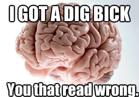 I GOT A DIG BICK You that read wrong. you read that wrong too.  Scumbag Brain