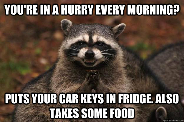 you're in a hurry every morning? puts your car keys in fridge. also takes some food  Evil Plotting Raccoon