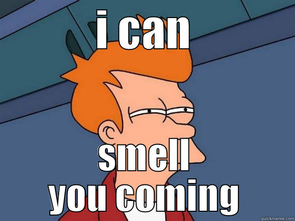 I CAN SMELL YOU COMING Futurama Fry