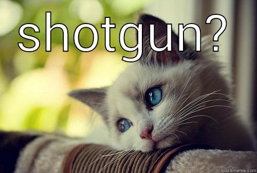 SHOTGUN?  First World Problems Cat