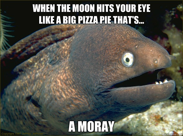 WHEN THE MOON HITS YOUR EYE
LIKE A BIG PIZZA PIE THAT'S... A MORAY
 - WHEN THE MOON HITS YOUR EYE
LIKE A BIG PIZZA PIE THAT'S... A MORAY
  Bad Joke Eel