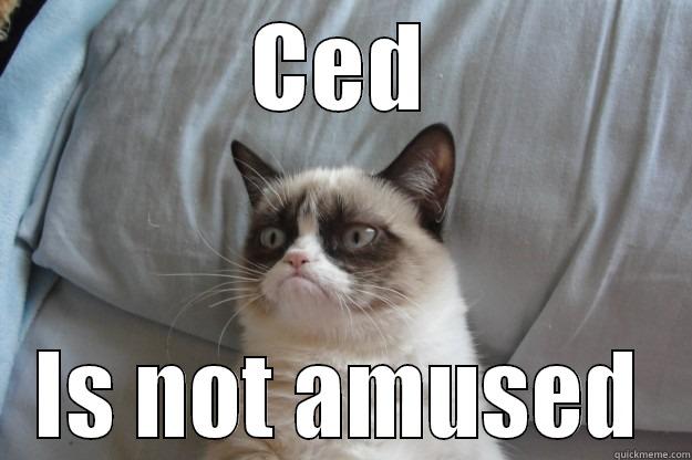 CED IS NOT AMUSED Grumpy Cat