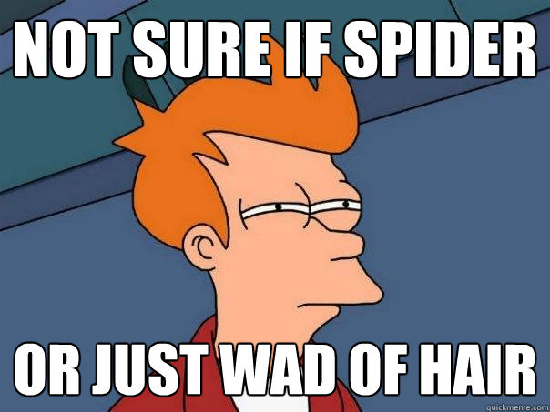 Not sure if spider Or just wad of hair  Futurama Fry