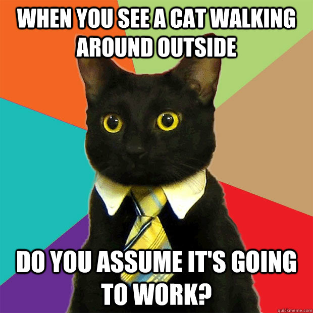 When you see a cat walking around outside do you assume it's going to work? - When you see a cat walking around outside do you assume it's going to work?  Business Cat