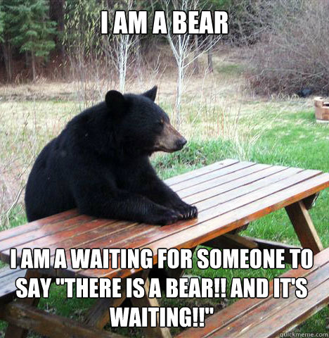 I am a bear I am a waiting for someone to say 