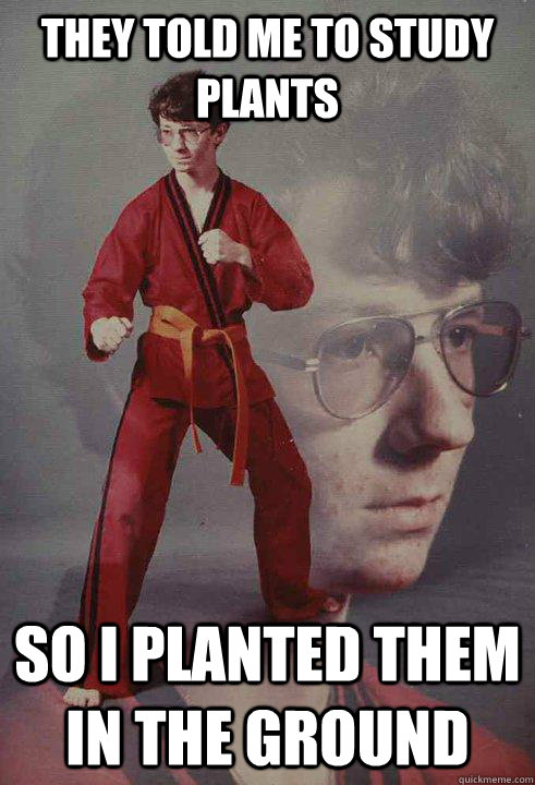 they told me to study plants so i planted them in the ground - they told me to study plants so i planted them in the ground  Karate Kyle