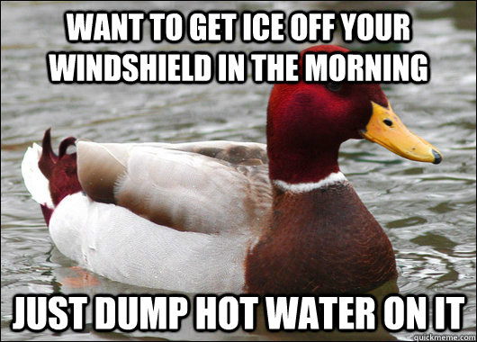 Want to get ice off your windshield in the morning  just dump hot water on it - Want to get ice off your windshield in the morning  just dump hot water on it  Malicious Advice Mallard