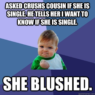 Asked crushs cousin if she is single. He tells her i want to know if she is single. She blushed.  Success Kid