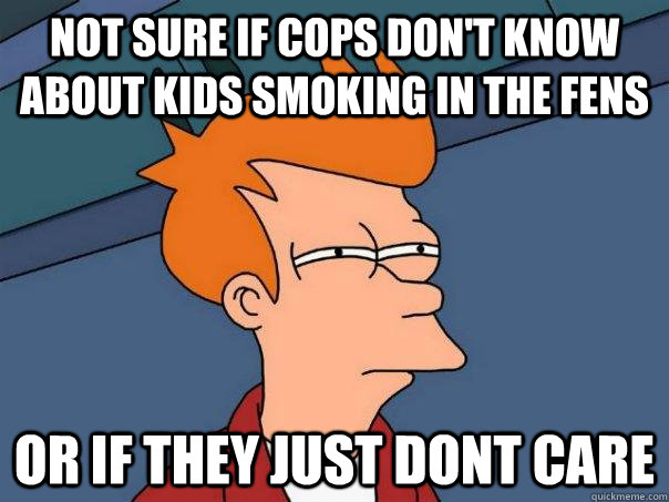 Not sure if cops don't know about kids smoking in the fens Or if they just dont care  Futurama Fry