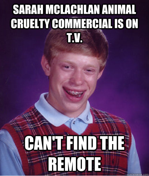 Sarah Mclachlan animal cruelty commercial is on T.V. Can't find the remote - Sarah Mclachlan animal cruelty commercial is on T.V. Can't find the remote  Bad Luck Brian