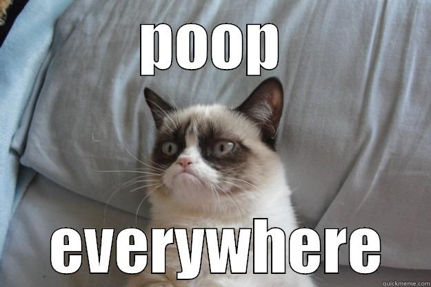 POOP  EVERYWHERE Grumpy Cat