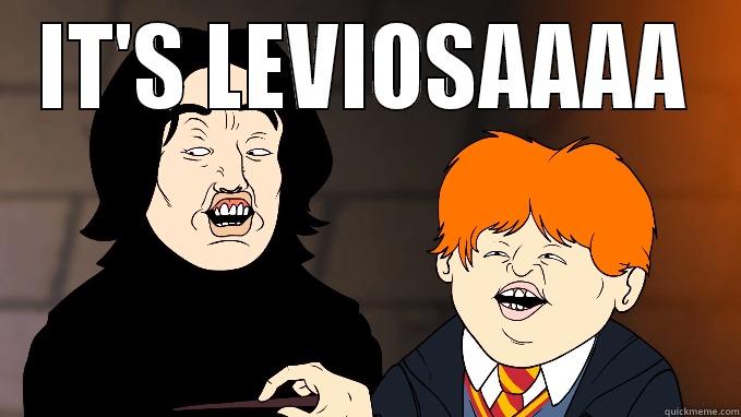 It's Leviosaaaa - IT'S LEVIOSAAAA  Misc